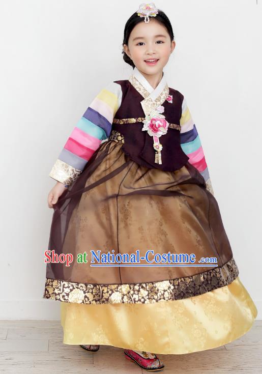 Asian Korean National Handmade Formal Occasions Wedding Clothing Purple Blouse and Brown Dress Palace Hanbok Costume for Kids