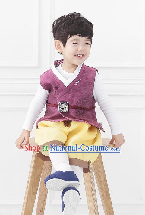 Asian Korean National Traditional Handmade Formal Occasions Boys Embroidery Wine Red Vest Hanbok Costume Complete Set for Kids