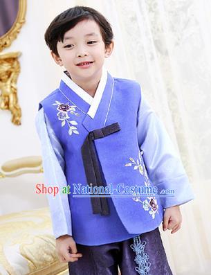 Korean National Handmade Formal Occasions Boys Hanbok Embroidered Blue Costume Complete Set for Kids