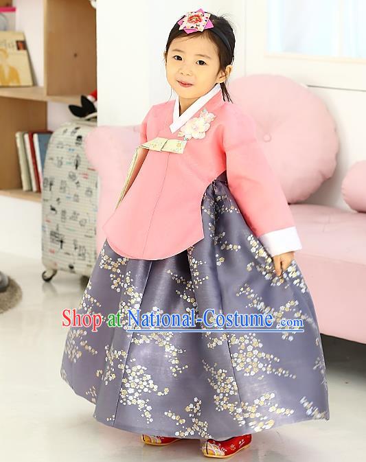 Korean National Handmade Formal Occasions Girls Hanbok Costume Embroidered Pink Blouse and Grey Dress for Kids