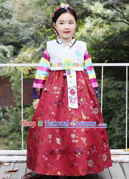 Korean National Handmade Formal Occasions Girls Hanbok Costume Embroidered White Vest and Red Dress for Kids