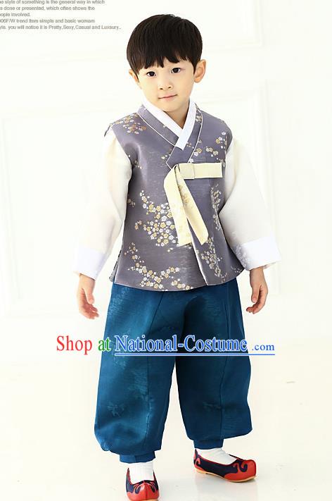 Asian Korean National Traditional Handmade Formal Occasions Boys Embroidery Grey Vest Hanbok Costume Complete Set for Kids