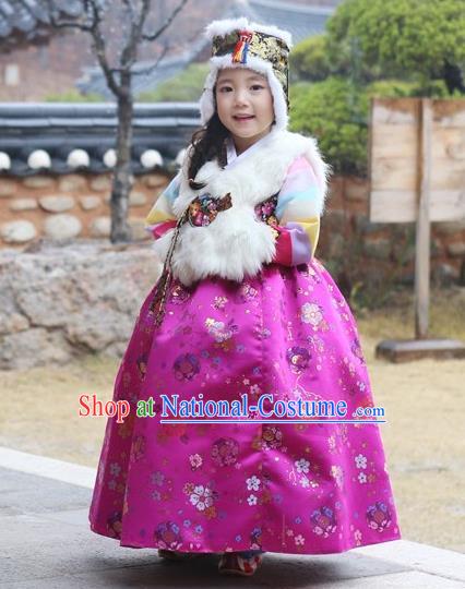 Asian Korean National Handmade Formal Occasions Wedding Girls Clothing White Vest and Rosy Dress Palace Hanbok Costume for Kids