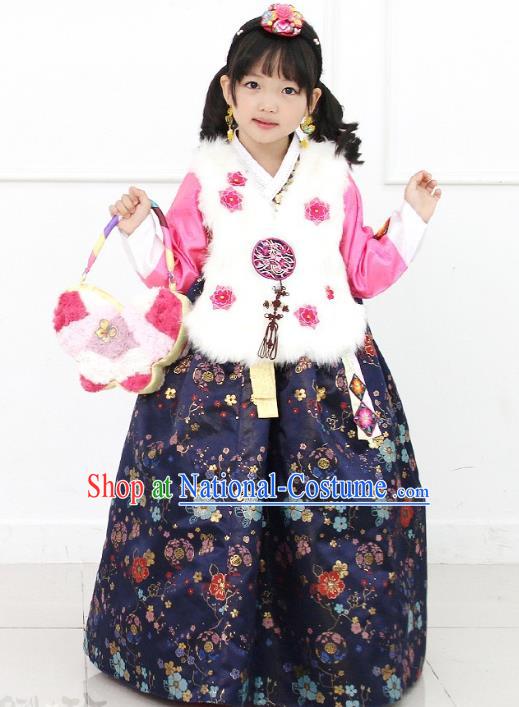 Asian Korean National Handmade Formal Occasions Wedding Girls Clothing White Embroidered Vest and Navy Dress Palace Hanbok Costume for Kids