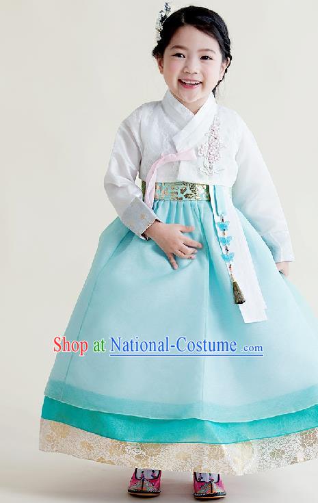 Asian Korean National Handmade Formal Occasions Wedding Girls Clothing Embroidered White Blouse and Blue Dress Palace Hanbok Costume for Kids