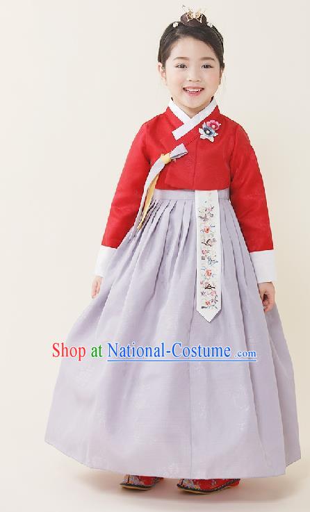 Asian Korean National Handmade Formal Occasions Wedding Girls Clothing Embroidered Red Blouse and Lilac Dress Palace Hanbok Costume for Kids