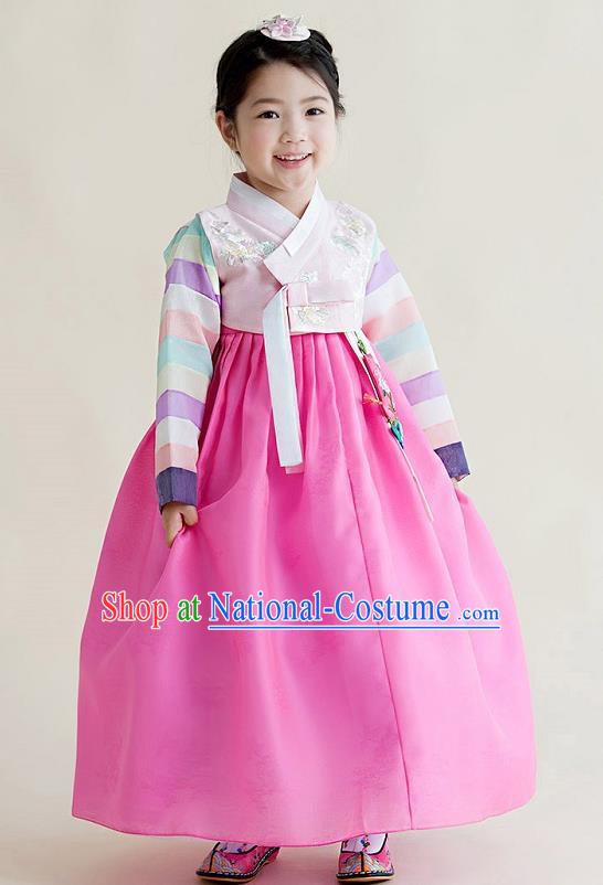 Asian Korean National Handmade Formal Occasions Wedding Girls Clothing Embroidered Pink Blouse and Dress Palace Hanbok Costume for Kids