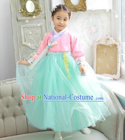 Asian Korean National Handmade Formal Occasions Wedding Girls Clothing Embroidered Pink Blouse and Green Veil Dress Palace Hanbok Costume for Kids