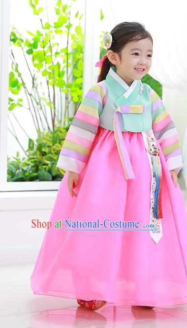 Korean National Handmade Formal Occasions Girls Clothing Palace Hanbok Costume Embroidered Green Blouse and Pink Dress for Kids