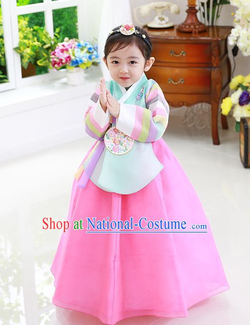 Korean National Handmade Formal Occasions Girls Clothing Palace Hanbok Costume Embroidered Green Blouse and Pink Dress for Kids