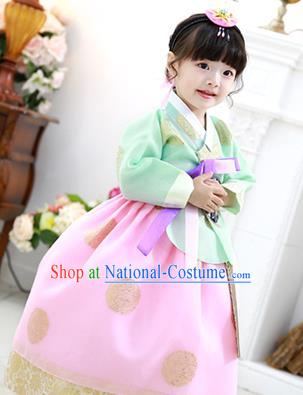 Korean National Handmade Formal Occasions Girls Clothing Palace Hanbok Costume Embroidered Green Blouse and Pink Dress for Kids