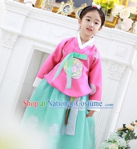 Korean National Handmade Formal Occasions Girls Clothing Palace Hanbok Costume Embroidered Pink Blouse and Green Dress for Kids