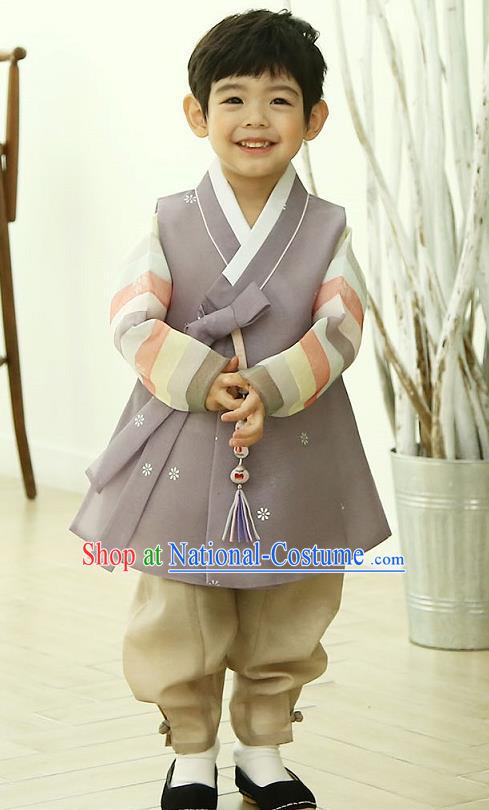 Asian Korean National Traditional Handmade Formal Occasions Boys Embroidery Grey Vest Hanbok Costume Complete Set for Kids