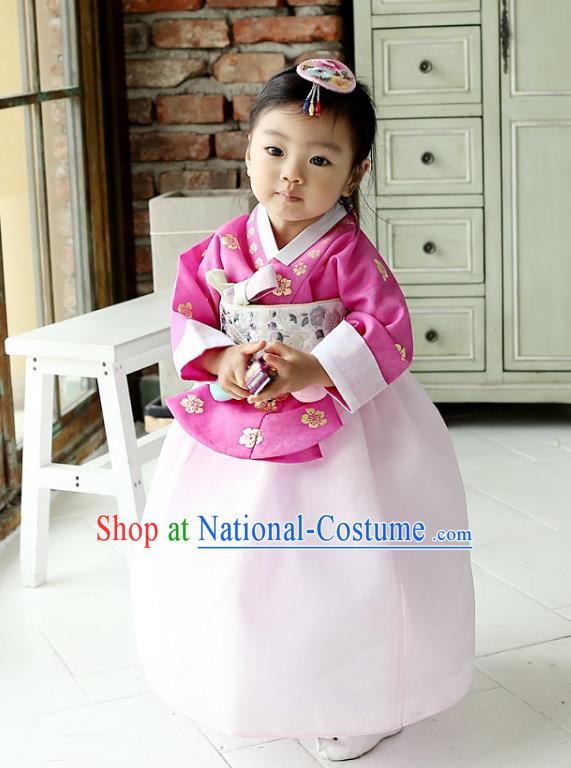 Korean National Handmade Formal Occasions Girls Clothing Palace Hanbok Costume Embroidered Rosy Blouse and Pink Dress for Kids