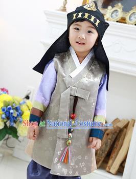 Asian Korean National Traditional Handmade Formal Occasions Boys Embroidery Grey Vest Hanbok Costume Complete Set for Kids