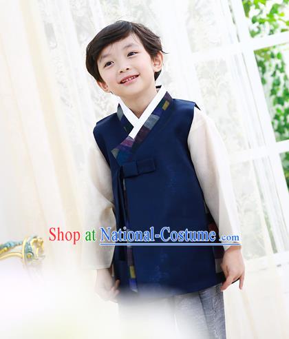 Asian Korean National Traditional Handmade Formal Occasions Boys Embroidery Dark Blue Vest Hanbok Costume Complete Set for Kids