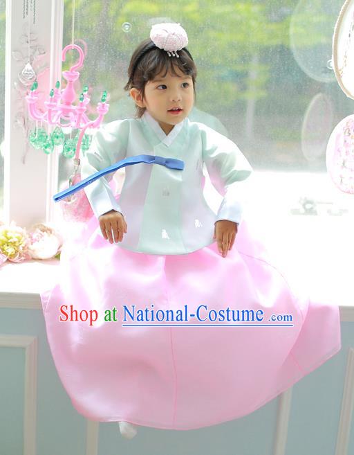 Korean National Handmade Formal Occasions Girls Clothing Palace Hanbok Costume Embroidered Green Blouse and Pink Dress for Kids