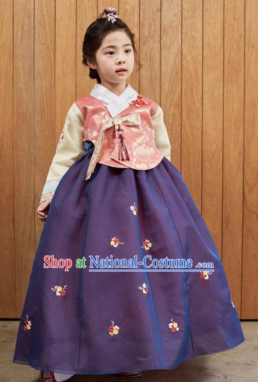 Korean National Handmade Formal Occasions Girls Clothing Palace Hanbok Costume Embroidered Pink Blouse and Purple Dress for Kids