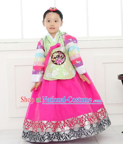 Traditional Korean National Handmade Formal Occasions Girls Clothing Palace Hanbok Costume Embroidered Green Blouse and Rosy Dress for Kids