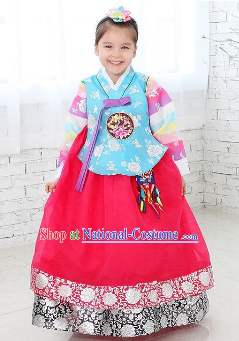 Traditional Korean National Handmade Formal Occasions Girls Clothing Palace Hanbok Costume Embroidered Blue Blouse and Red Dress for Kids