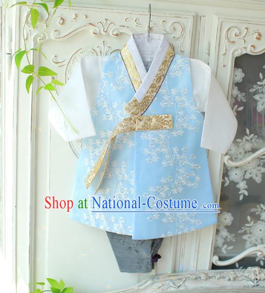 Asian Korean National Traditional Handmade Formal Occasions Boys Embroidery Blue Vest Hanbok Costume Complete Set for Kids