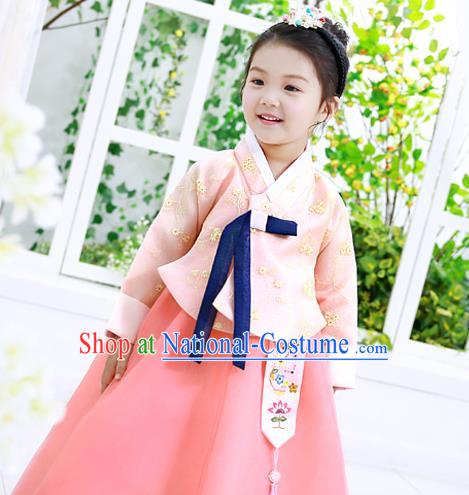 Traditional Korean National Handmade Formal Occasions Girls Palace Hanbok Costume Embroidered Pink Blouse and Dress for Kids