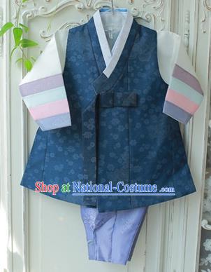 Asian Korean National Traditional Handmade Formal Occasions Boys Embroidery Clothing Navy Vest Hanbok Costume Complete Set for Kids