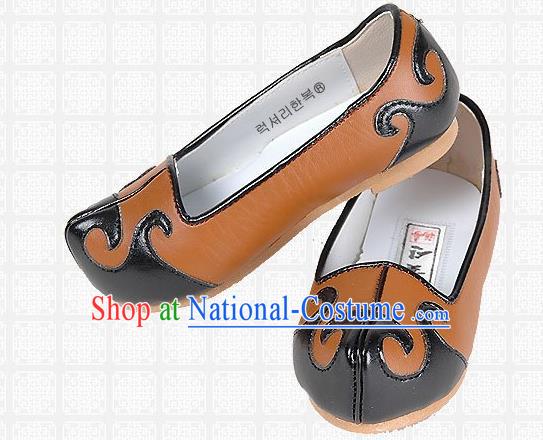 Traditional Korean National Embroidered Shoes, Asian Korean Hanbok Children Brown Shoes for Boys