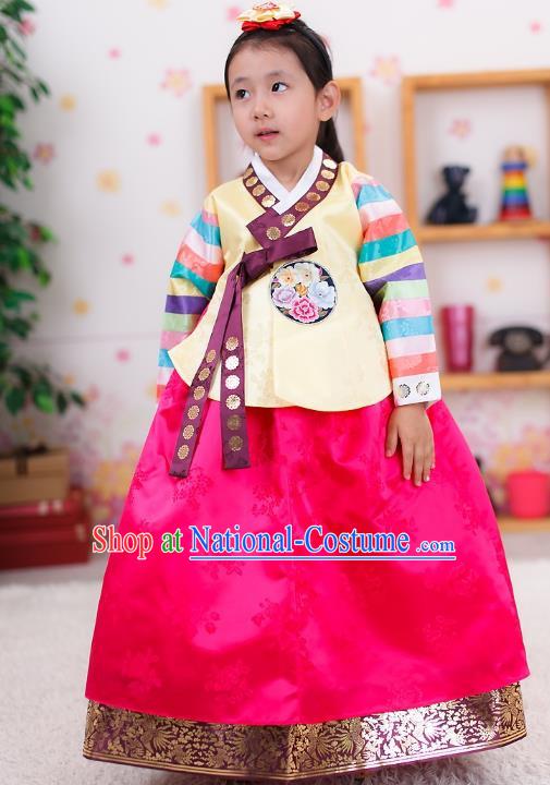 Traditional Korean Handmade Formal Occasions Embroidered Girls Wedding Costume Palace Hanbok Clothing for Kids