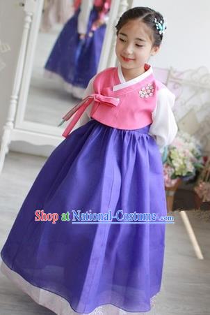 Traditional Korean Handmade Formal Occasions Embroidered Girls Wedding Costume Pink Blouse and Blue Dress Hanbok Clothing for Kids