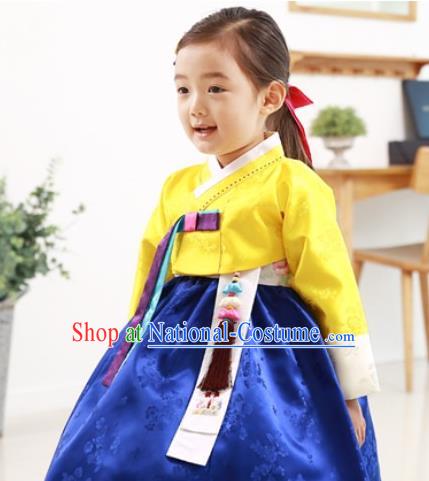 Traditional Korean Handmade Formal Occasions Embroidered Baby Princess Hanbok Blue Dress Clothing for Girls