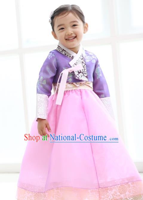 Traditional Korean Handmade Formal Occasions Embroidered Baby Princess Hanbok Pink Dress Clothing for Girls