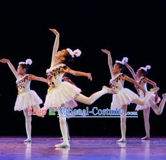 Traditional Chinese Ballet Dance Costume, Chinese Modern Dance Dress Clothing for Kids