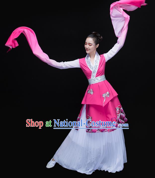 Traditional Chinese Classical Dance Fan Dance Water Sleeve Costume, China Folk Dance Yangko Clothing for Women