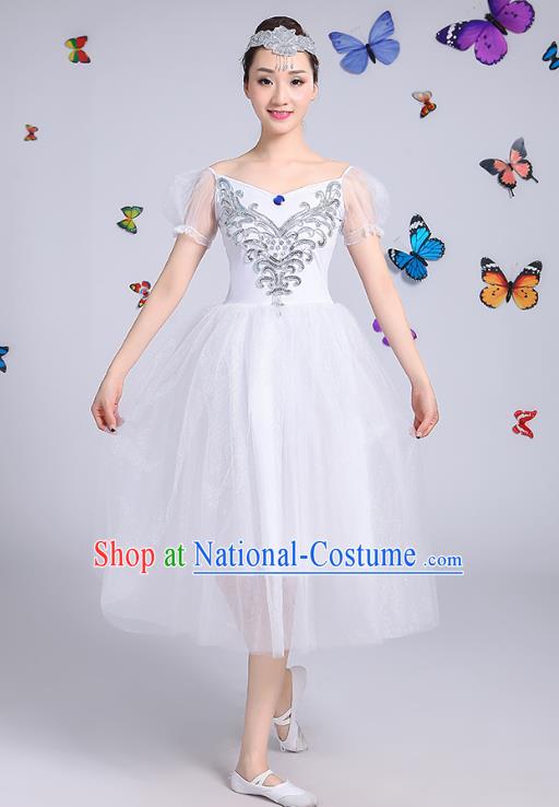 Traditional Chinese Modern Dance Opening Dance Clothing Chorus White Veil Dress Costume for Women