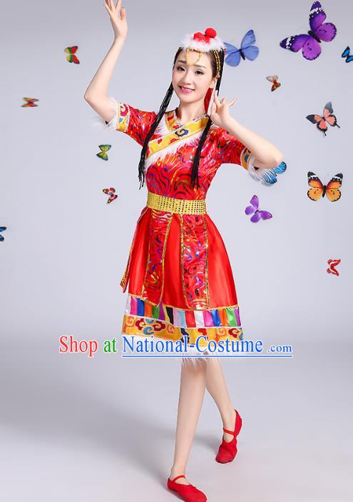 Traditional Chinese Mongol Nationality Dance Costume, Mongols Female Folk Dance Ethnic Pleated Skirt Minority Embroidery Clothing for Women