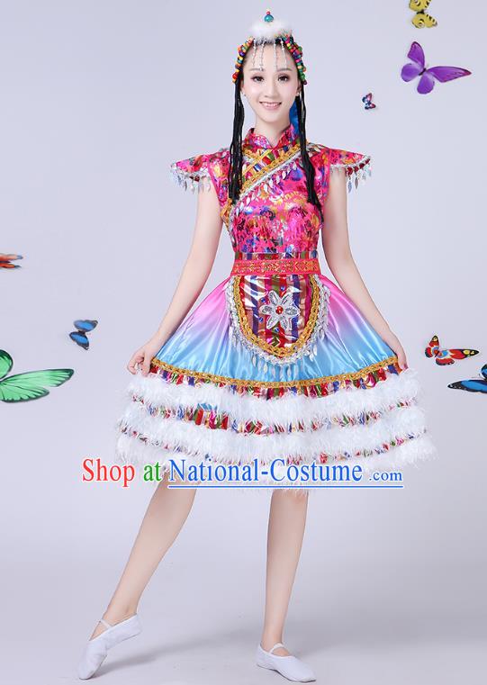 Traditional Chinese Mongol Nationality Dance Costume, Chinese Mongolian Minority Folk Dance Embroidery Short Dress for Women