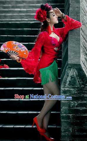 Traditional Ancient Chinese Dancing Costume, Chinese Folk Dance Lace Dress, Chinese Imperial Emperess Embroidery Costume for Women