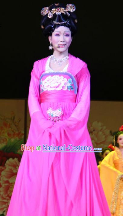 Ancient Chinese Costume Chinese Style Wedding Dress Tang Dynasty Clothing