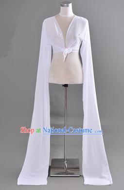 Traditional Chinese Long Sleeve Water Sleeve Dance Suit China Folk Dance Chiffon Long White Ribbon for Women