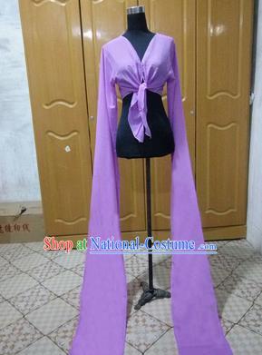 Traditional Chinese Long Sleeve Water Sleeve Dance Suit China Folk Dance Chiffon Long Purple Ribbon for Women