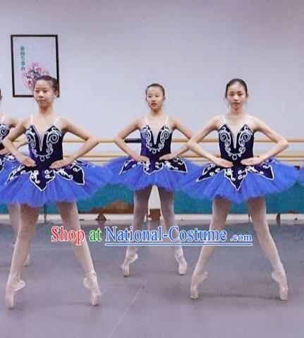 Traditional Modern Dancing Compere Costume, Women Opening Classic Chorus Singing Group Dance Dress, Modern Dance Classic Ballet Dance Blue Veil Dress for Women