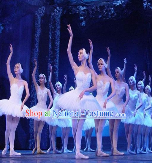 Traditional Modern Dancing Compere Costume, Opening Classic Chorus Singing Group Dance Bubble Dress Tu Tu Dancewear, Modern Dance Classic Ballet Dance Elegant Dress for Women