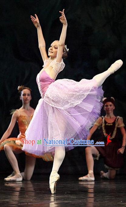 Traditional Modern Dancing Compere Costume, Female Opening Classic Chorus Singing Group Dance Pink Bell Dress Tu Tu Dancewear, Modern Dance Classic Ballet Dance Elegant Dress for Women