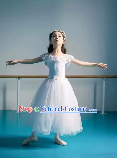 Traditional Modern Dancing Costume, Children Opening Classic Chorus Singing Group Dance Bubble Dress, Modern Dance Classic Ballet Dance White Veil Dress for Kids