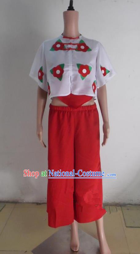 Traditional Chinese Yangge Fan Dancing Costume, Folk Dance Short Sleeve Blouse and Pants Uniforms, Classic Lotus Dance Elegant Dress Drum Dance Clothing for Women