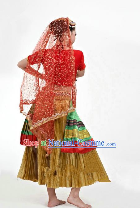 Traditional Chinese Yangge Fan Dancing Costume and Accessories