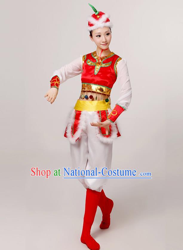 Traditional Chinese Mongol Nationality Dancing Costume, Mongols Female Folk Dance Ethnic Clothing, Chinese Mongolian Minority Nationality Red Costume for Women