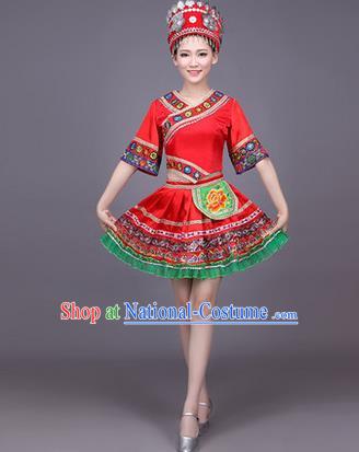 Traditional Chinese Miao Nationality Dance Costume, Hmong Female Folk Dance Ethnic Pleated Skirt, Chinese Minority Nationality Embroidery Red Dress for Women