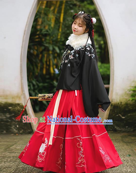 Traditional Chinese Ming Dynasty Young Lady Costume, Elegant Hanfu Clothing Embroidered Horse-face Skirt, Chinese Ancient Princess Clothing for Women